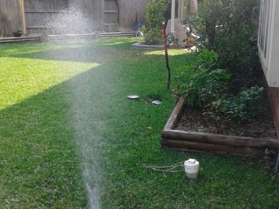 Sprinkler head spraying across a green lawn
